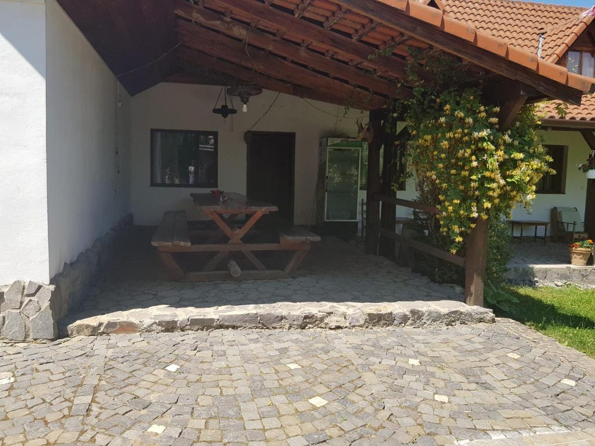 Vila Sura Razoare Sighişoara Exterior foto